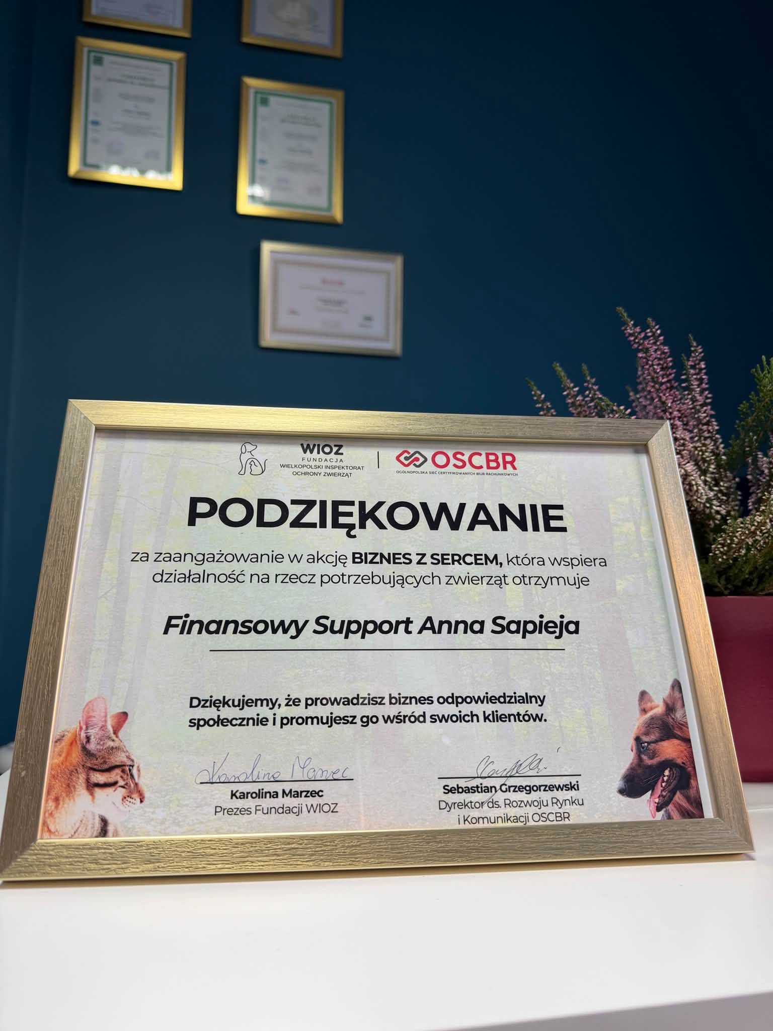 Dyplom z podziękowaniem dla Finansowy Support Anna Sapieja za zaangażowanie w akcję Biznes z Sercem – Fundacja WIOZ i OSCBR